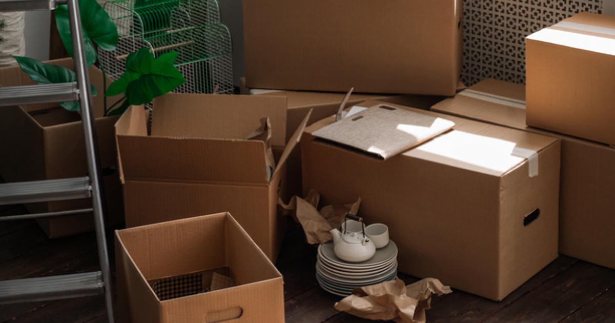 A guide to landlord and tenant responsibilities in New Zealand