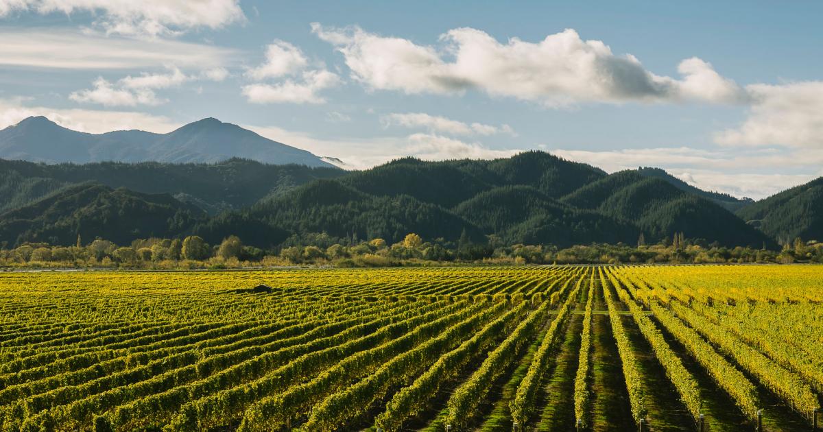 What citydwellers need to know about buying rural property